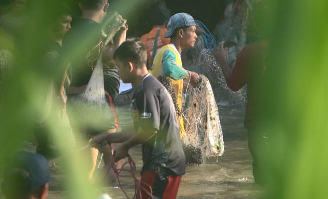 
					Warga Sabagarabaki, Kotanopan, Mandailing Natal, Sumatera Utara menjala ikan saat lLubuk Larngan dibuka. (Foto. Didik Wiratno)