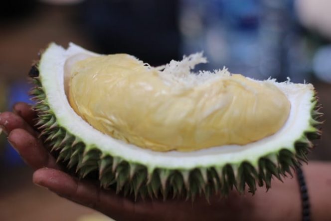 
					Sensasi Menyusuri Kebun Durian To’om dan Menikmati Durian Jatuh dari Pohonnya, Nikmat!