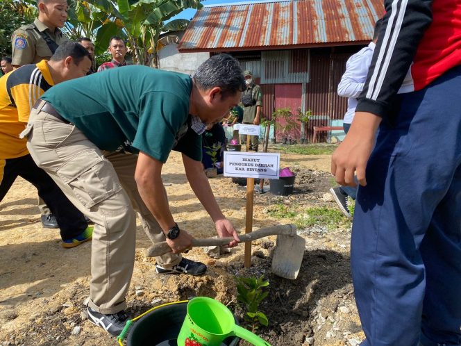
					Upaya Pemulihan DAS, Alumni Fakultas Kehutanan Tanam Pohon Bersama Bupati Sintang