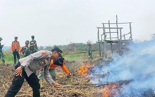 
					Sulit Peroleh Sumber Air, Petugas Kesulitan Padamkan Api Karhutla di Desa Mudung-Miaro Jambi