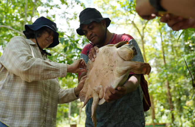 
					Penelitian kura-kura moncong babi yang dilakukan di Sungai Kao, Distrik Jair, Kabupaten Boven Digoel, Papua Selatan.
