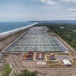 Tambak udang di Kecamatan Petanahan, Kabupaten Kebumen, Jawa Tengah. (Foto: dok. KKP)