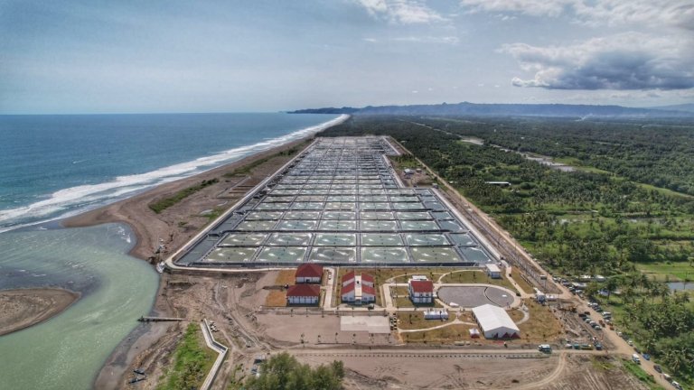 Tambak udang di Kecamatan Petanahan, Kabupaten Kebumen, Jawa Tengah. (Foto: dok. KKP)