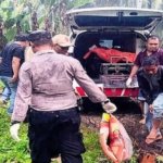 Pria Asal Mandailing Natal Gantung Diri di Tanjung Tiram, Polisi Dalami Motifnya