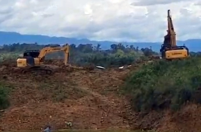 Aparat Dinilai Lemah, Puluhan Ekskavator Tambang Emas Ilegal Kepung Madina