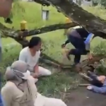 Anak Pemotor Tewas Tertimpa Pohon Tumbang di Magetan