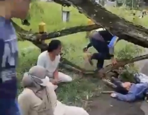 Anak Pemotor Tewas Tertimpa Pohon Tumbang di Magetan