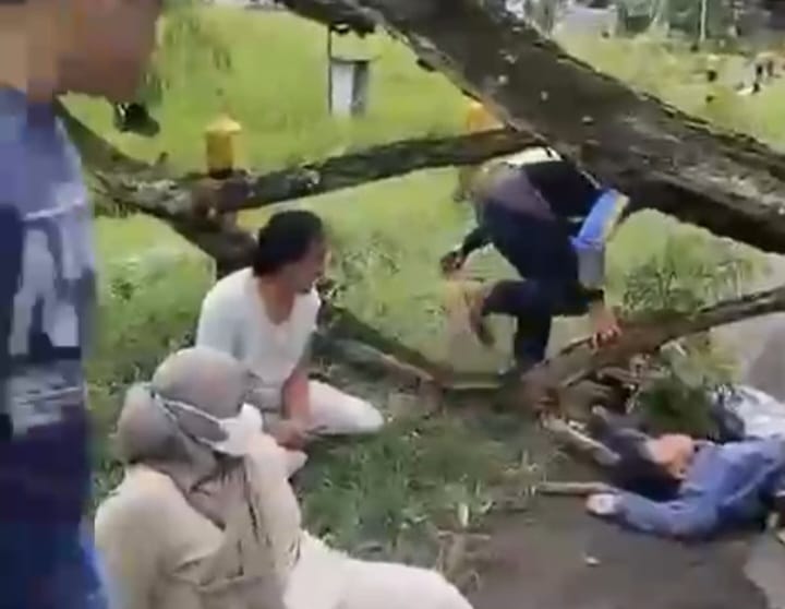 Anak Pemotor Tewas Tertimpa Pohon Tumbang di Magetan