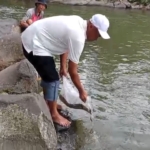 Keluarga besar Warta Dipiria menebar 2.500 benih ikan di Kali Kawung Banyumas sebagai upaya pelestarian lingkungan sekaligus kegiatan halal bihalal. (Foto: RN/Kus)