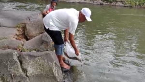 Keluarga besar Warta Dipiria menebar 2.500 benih ikan di Kali Kawung Banyumas sebagai upaya pelestarian lingkungan sekaligus kegiatan halal bihalal. (Foto: RN/Kus)