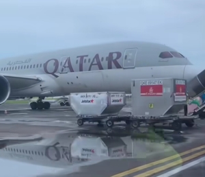 Konflik Timur Tengah memicu penutupan ruang udara, sejumlah pesawat Emirates dan Qatar Airways tertahan di Bandara I Gusti Ngurah Rai Bali. Ribuan jemaah umrah terdampak. (Foto: Tiktok/unclebald4)