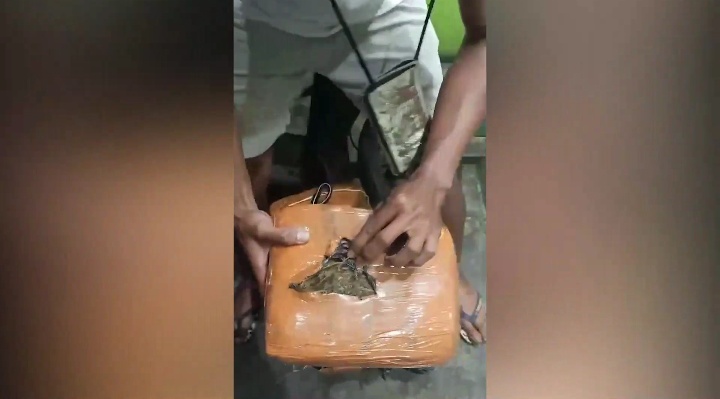 Polda Metro Jaya menangkap dua pengedar ganja di Grogol Petamburan, Jakarta Barat. Polisi menyita 10 kilogram ganja yang disimpan dalam karung. (Ist)