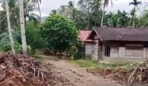 Tak Masuk Daftar Penerima Huntap, Empat Keluarga Penyintas Longsor Tapsel Terlunta-lunta