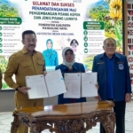 Gandeng UMA, Pemkab Madina Dorong Pisang Kepok Jadi Komoditas Unggulan