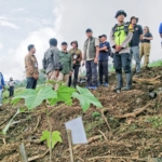 Pasca Banjir Bandang Lereng Slamet, Warga dan Relawan Tanam  5.000 Pohon