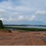Puluhan hektare mangrove di Tanjung Piayu, Batam, dibabat dan ditimbun. Warga menduga lahan digunakan untuk pembangunan perumahan tanpa kejelasan izin. (Foto: ReportaseNews/Aji)