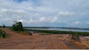 Puluhan hektare mangrove di Tanjung Piayu, Batam, dibabat dan ditimbun. Warga menduga lahan digunakan untuk pembangunan perumahan tanpa kejelasan izin. (Foto: ReportaseNews/Aji)