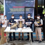 Karantina Sumatera Utara Musnahkan Ribuan Lembar Kulit Biawak Ilegal