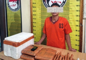 Kedok Warung Kopi Terbongkar, Polres Padangsidimpuan Sita 4,4 Kg Ganja dari Tangan Kurir