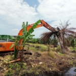Kemenhut Tertibkan 102 Hektare Kebun Sawit Ilegal di Sumatera Utara