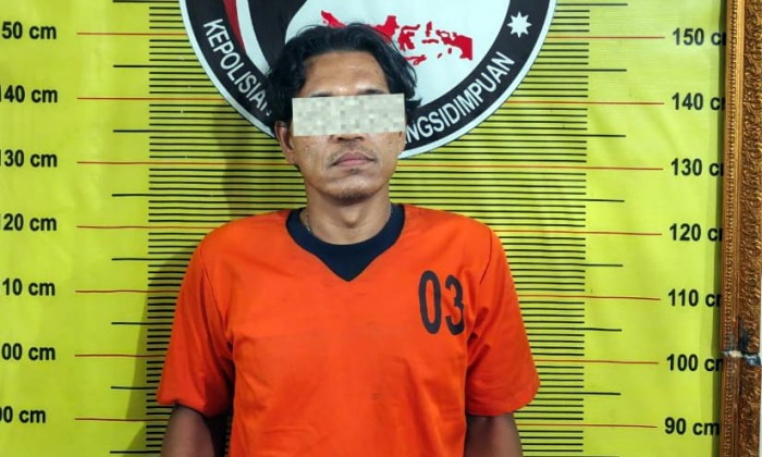 Nggak Kapok, Residivis Narkoba Ini Ditangkap Lagi di Padangsidimpuan