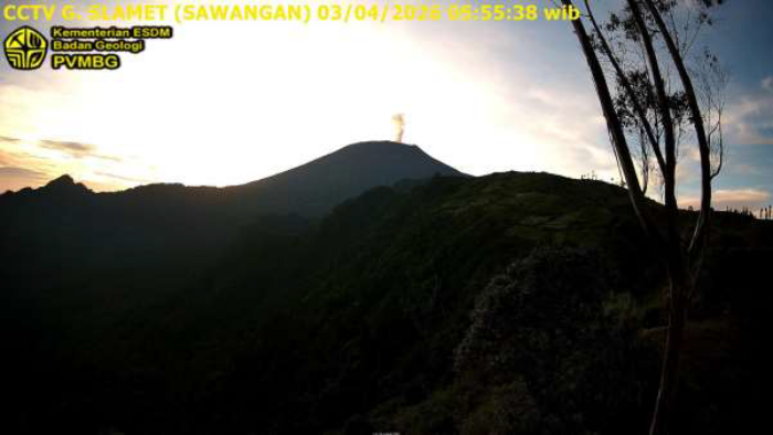 Aktivitas Gunung Slamet Meningkat, Warga Dilarang Mendekat Radius 2 Km