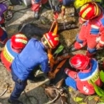 Sapi kurban seberat 350 kilogram terjeblos ke gorong-gorong di Kayu Putih, Pulogadung, Jakarta Timur. Damkar mengevakuasi sapi selama hampir satu jam. (Ist)