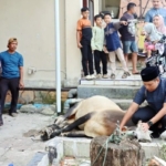 Utamakan Ketertiban, Polres Padangsidimpuan Antar Daging Kurban ke Rumah Warga