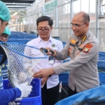 Greenhouse SPPG Palmerah Polda Metro Jaya memanen 80 kilogram sawi dan 560 ekor ikan patin untuk kebutuhan menu bergizi bagi 2.529 penerima manfaat. (Foto: ReportaseNews/HO-Humas PMJ)