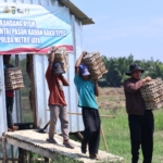 Polda Metro Jaya memanen 3.000 butir telur di Muara Gembong, Bekasi, lalu menyalurkannya ke dua SPPG untuk mendukung program pangan bergizi masyarakat. (Foto: ReportaseNews/HO-Humas Polda Metro Jaya)