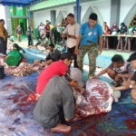 Masjid Agung Al Hikmah Tanjungpinang menyembelih 11 sapi dan 11 kambing saat Idul Adha 1447 H. Hampir 1.000 kantong daging kurban dibagikan kepada warga dan kaum duafa. (Ist)
