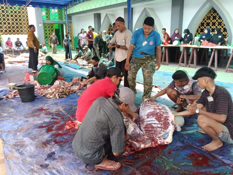 Masjid Agung Al Hikmah Tanjungpinang menyembelih 11 sapi dan 11 kambing saat Idul Adha 1447 H. Hampir 1.000 kantong daging kurban dibagikan kepada warga dan kaum duafa. (Ist)