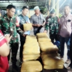 Cerita di Balik Terbuangnya 33 Bal Ganja di Jalan Desa Madina