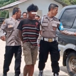 Niat Awal Mencuri, Pria di Tapteng Malah Cabuli Anak di Bawah Umur