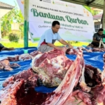 Agrinas Palma Nusantara Tebar Kepedulian Lewat Penyaluran Ratusan Hewan Kurban