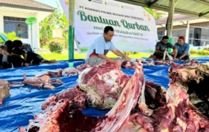 Agrinas Palma Nusantara Tebar Kepedulian Lewat Penyaluran Ratusan Hewan Kurban