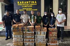 807 Ekor Burung Gagal Diselundupkan Pakai Truk Ekspedisi di Pelabuhan Bakauheni