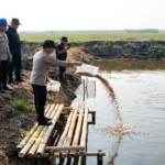 Dukung Ketahanan Pangan, Polda Metro Jaya Tebar  Benih Bandeng dan  Udang  di Muaragembong