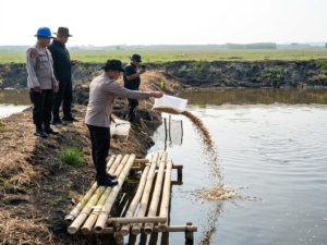 Dukung Ketahanan Pangan, Polda Metro Jaya Tebar  Benih Bandeng dan  Udang  di Muaragembong