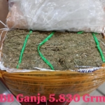 Bareskrim Polri membongkar jaringan peredaran ganja yang diduga dikendalikan narapidana Lapas Kelas I Malang. Tiga tersangka ditangkap, dengan dugaan puluhan kali pengiriman sejak 2025. (Foto: ReportaseNews/HO-Dittipidnarkoba Bareskrim Polri)