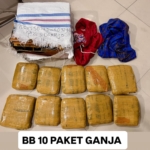 Bareskrim Polri menggagalkan pengiriman 10 kilogram ganja dari Padang ke Sidoarjo. Seorang penerima paket ditangkap saat proses controlled delivery berlangsung. (Foto: ReportaseNews/HO-Dittipidnarkoba Bareskrim Polri)