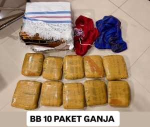 Bareskrim Polri menggagalkan pengiriman 10 kilogram ganja dari Padang ke Sidoarjo. Seorang penerima paket ditangkap saat proses controlled delivery berlangsung. (Foto: ReportaseNews/HO-Dittipidnarkoba Bareskrim Polri)