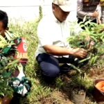 OMPA TAPAL, PWI DKI Jakarta, dan PT Prima Mustika Candra menanam 5.000 pohon di Bogor. Kegiatan ini menjadi langkah nyata menjaga lingkungan dan meningkatkan kesadaran konservasi. (Foto: ReportaseNews/Budi)