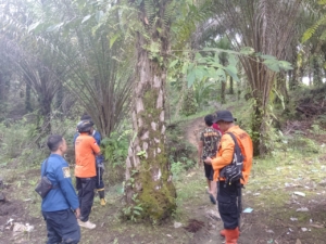 Tim SAR Gabungan masih mencari pria berusia 60 tahun yang dilaporkan hilang di kawasan kebun sawit Sekadau Hulu. Korban diduga tersesat dan mengalami gangguan jiwa. (Ist)