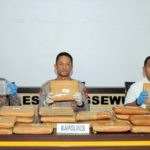 Kurir Ganja 24 Kg dari Madina Ditangkap di Lampung