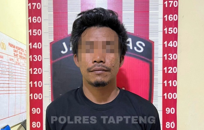 Nelayan Asal Madina Ini Rampas Ponsel dan Paksa IRT Wik-wik di Penginapan
