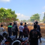 Lahan terbakar di Pontianak terjadi hanya 300 meter dari Kantor Gubernur Kalbar. Api berhasil dipadamkan, sementara penyebab kebakaran masih diselidiki. (Ist)