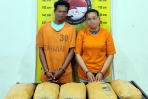 Polres Tapsel Sita 5 Kg Ganja Asal Madina, Dua Tersangka Ditangkap