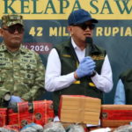 Barantin Gagalkan Peredaran 75.992 Bibit Sawit Palsu di Lampung
