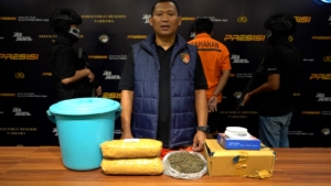 Polda Metro Jaya menggagalkan dugaan transaksi ganja seberat 1,2 kilogram di Cipayung, Depok. Seorang pria berinisial S.B. ditangkap polisi. (Foto: ReportaseNews/Tama)